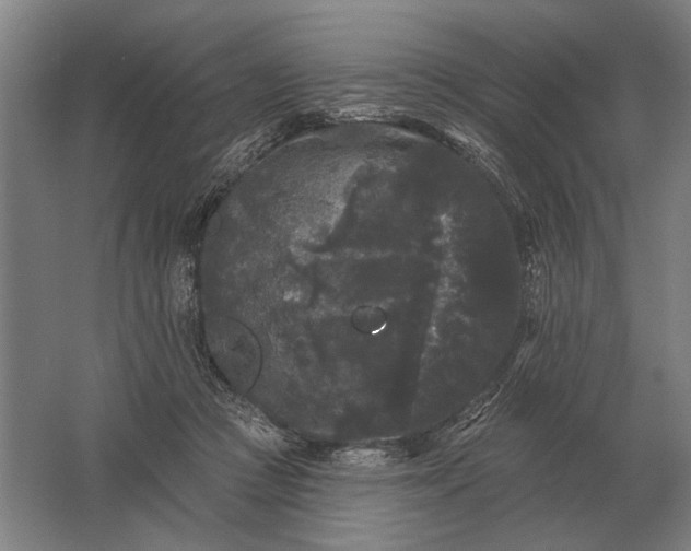 X0000061730361200512161628