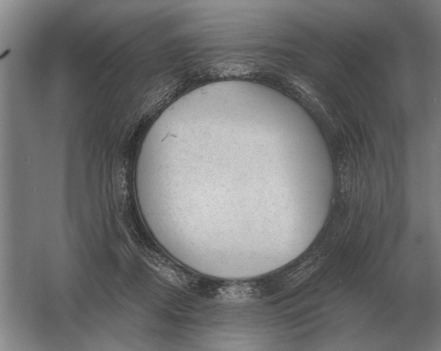 X0000061730362200512161628