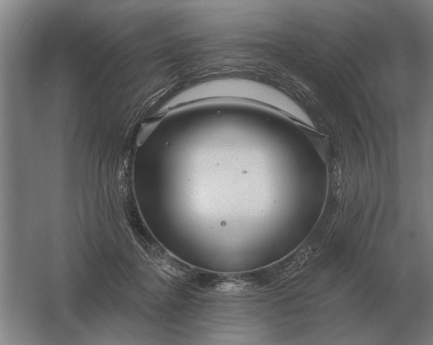 X0000061730364200512161628