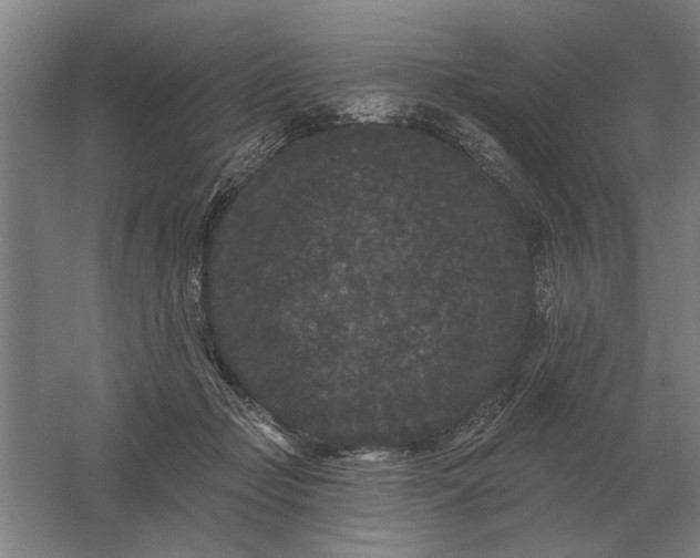 X0000061730365200512161628