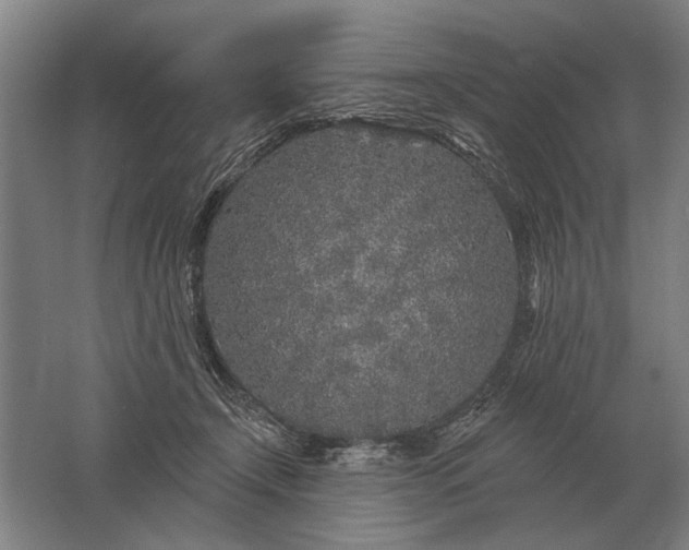 X0000061730366200512161628