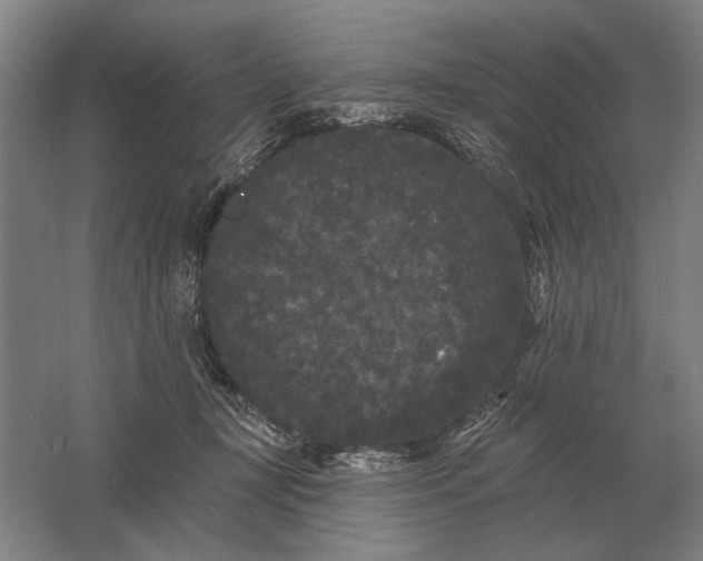 X0000061730367200512161628