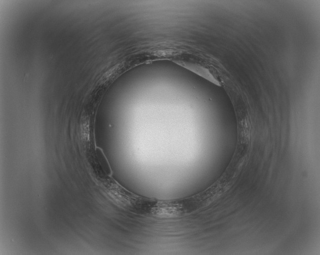 X0000061730368200512161628