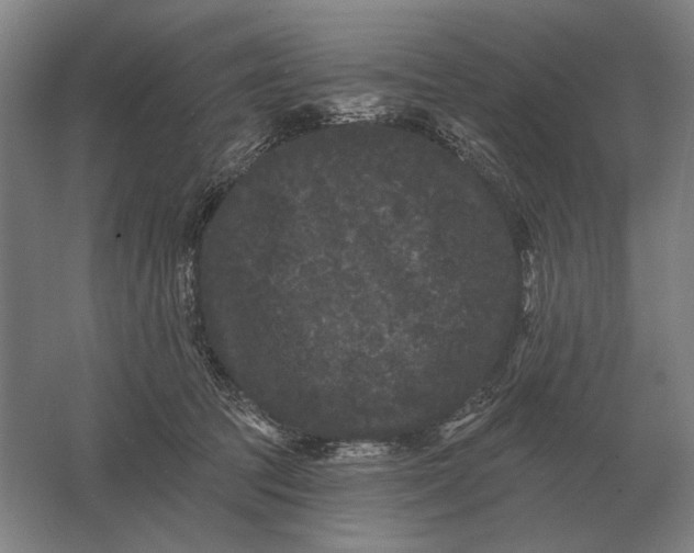 X0000061730369200512161628