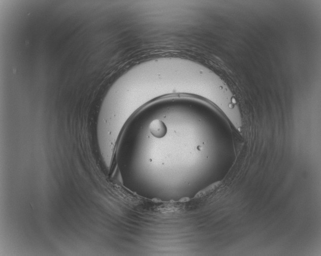 X0000061730370200512161629