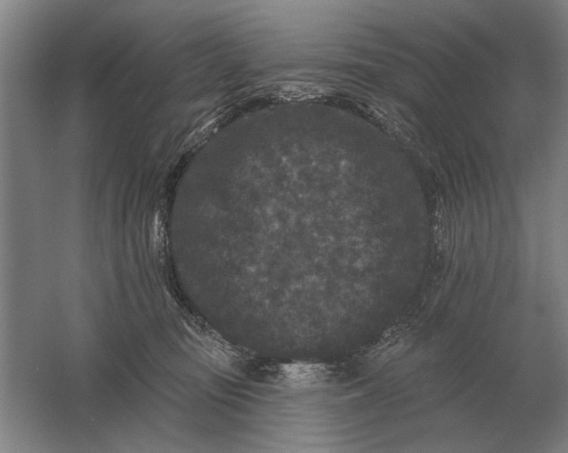 X0000061730371200512161629