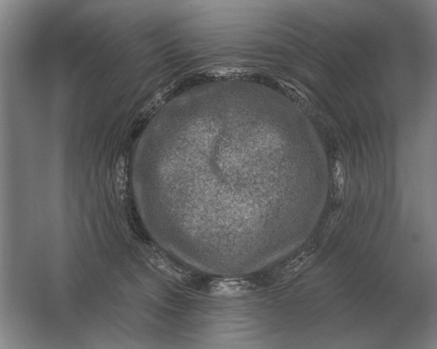 X0000061730372200512161629