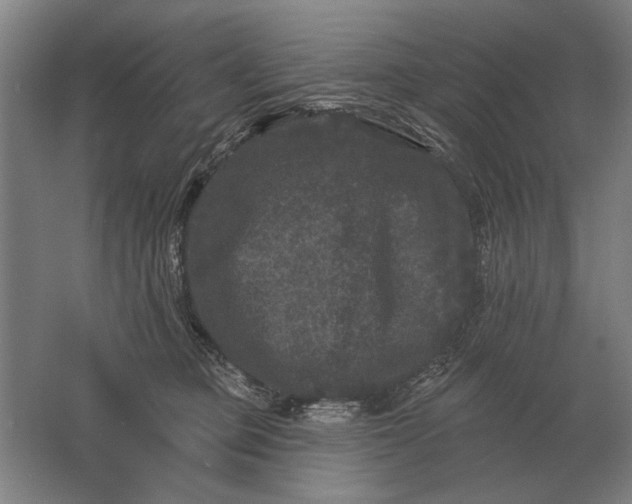 X0000061730373200512161629