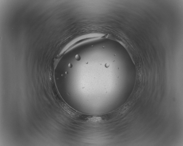 X0000061730374200512161629