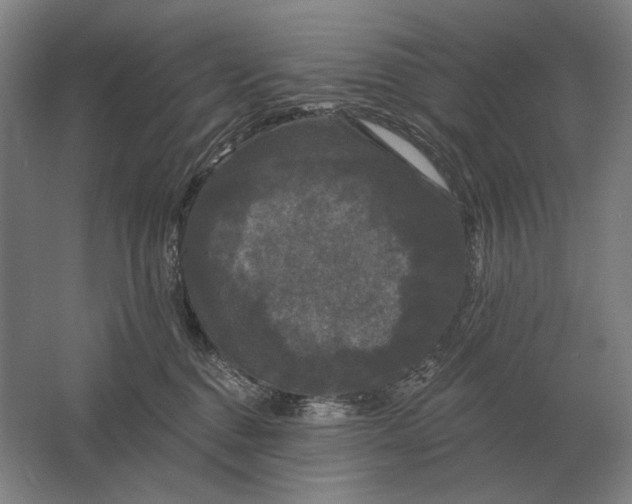 X0000061730376200512161629