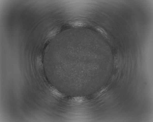 X0000061730377200512161629