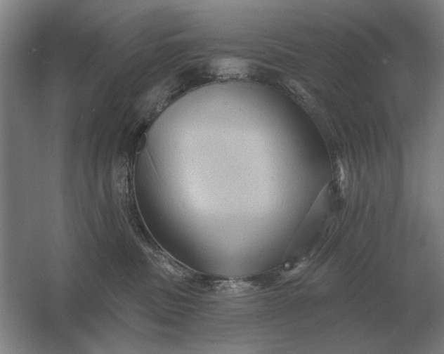 X0000061730379200512161629