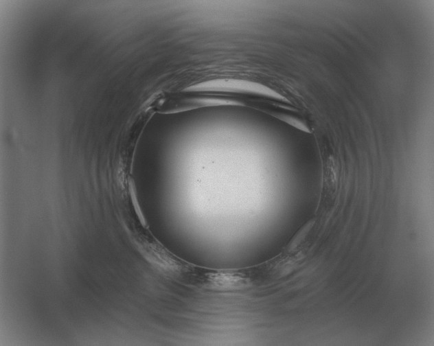 X0000061730380200512161629