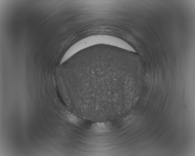 X0000061730381200512161629