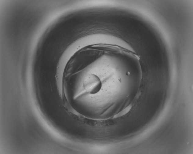 X0000061730382200512161629