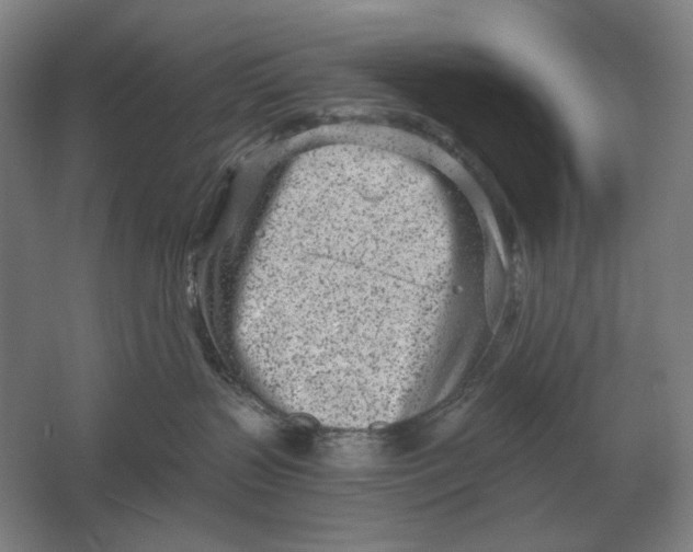 X0000061730383200512161629