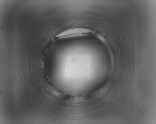 X0000061730384200512161629