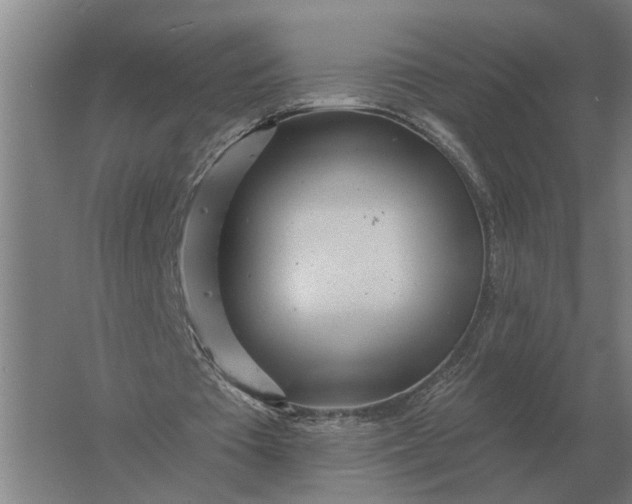 X0000061730385200512161628