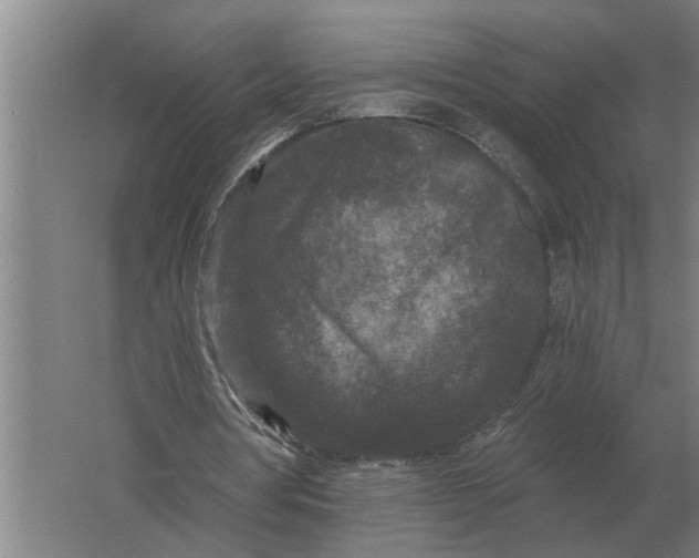 X0000061730386200512161628