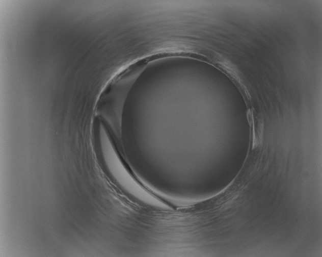 X0000061730387200512161628