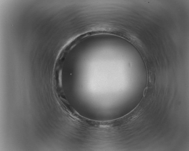 X0000061730388200512161628