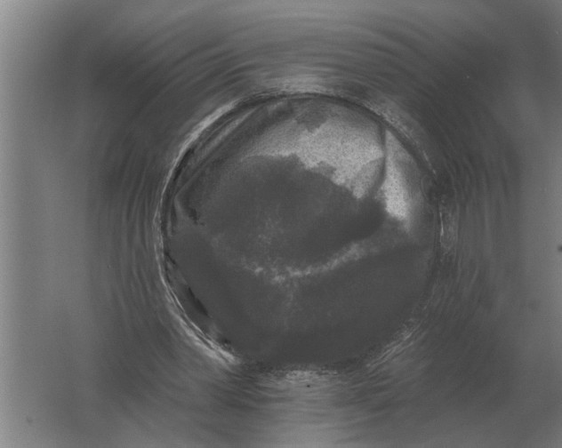 X0000061730390200512161628