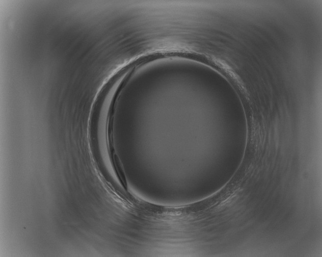 X0000061730391200512161628