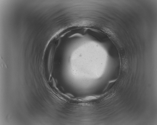 X0000061730392200512161628