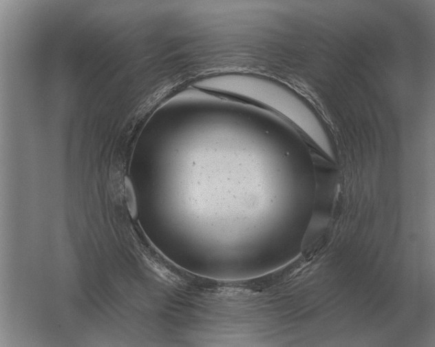 X0000061730393200512161628