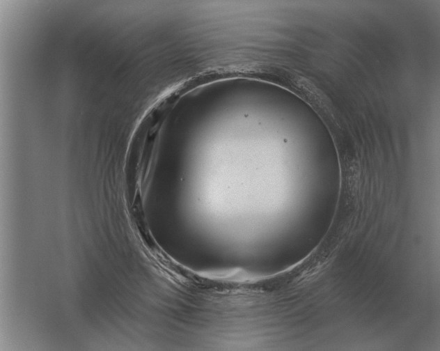 X0000061730395200512161628