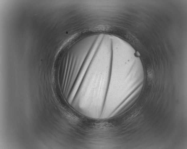 X0000061730396200512161628