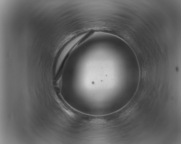 X0000061730397200512161628