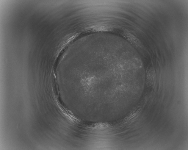 X0000061730398200512161628