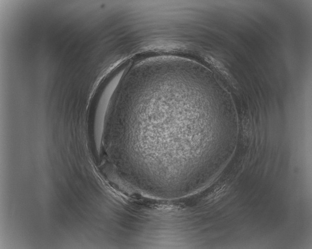 X0000061730399200512161628