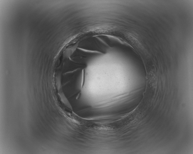 X0000061730400200512161628