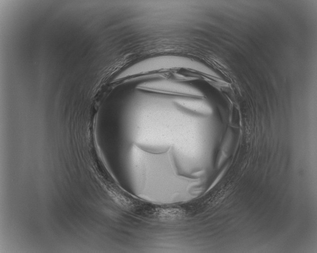 X0000061730401200512161628