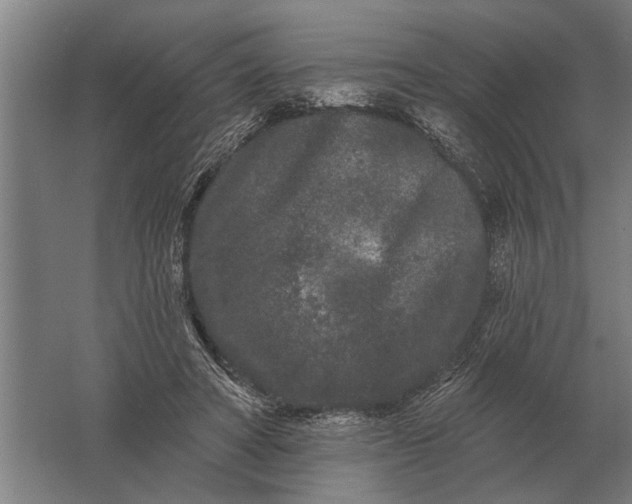 X0000061730402200512161628