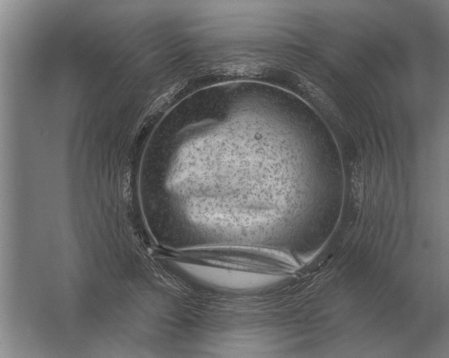 X0000061730403200512161628