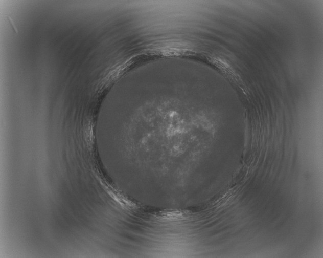 X0000061730405200512161628