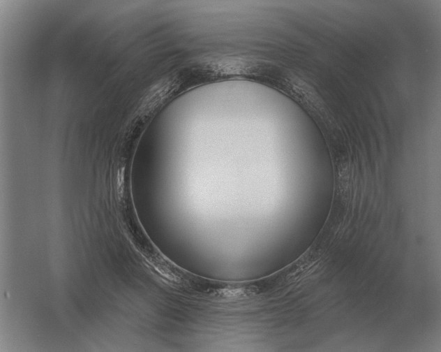 X0000061730406200512161628