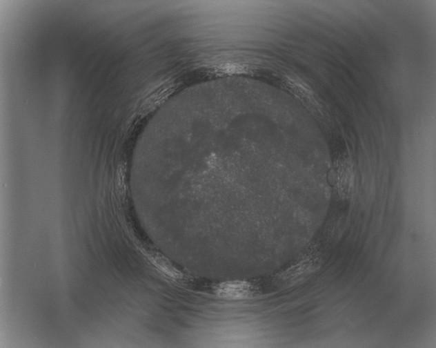 X0000061730410200512161627