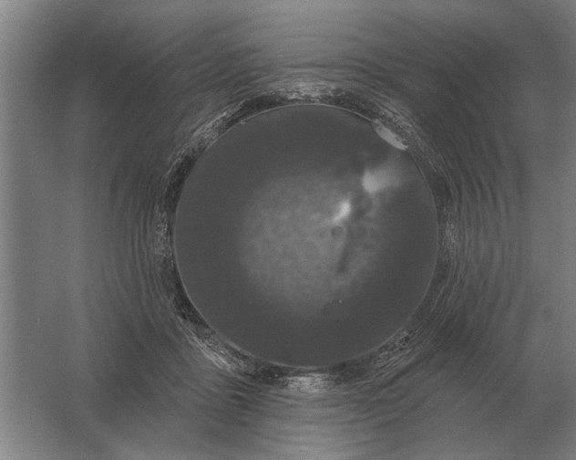 X0000061730411200512161627