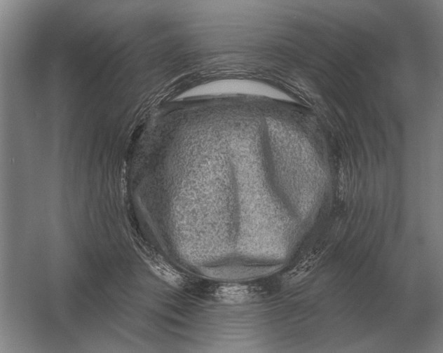 X0000061730413200512161627