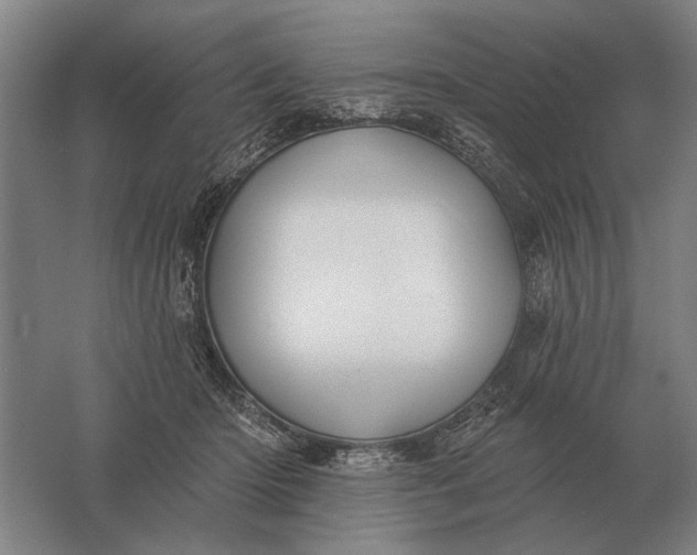 X0000061730414200512161627