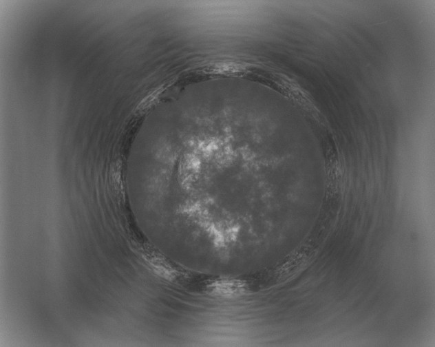 X0000061730415200512161627