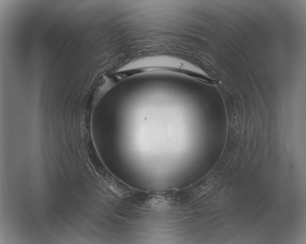 X0000061730416200512161627