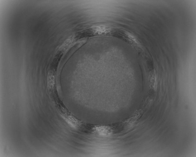 X0000061730417200512161627