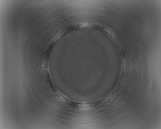 X0000061730419200512161627