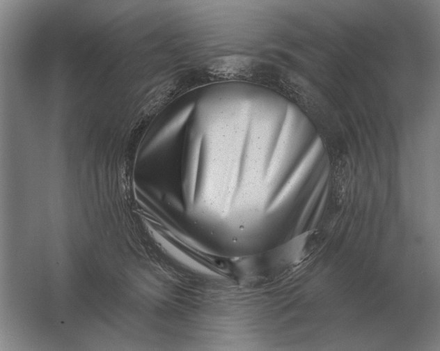 X0000061730420200512161627