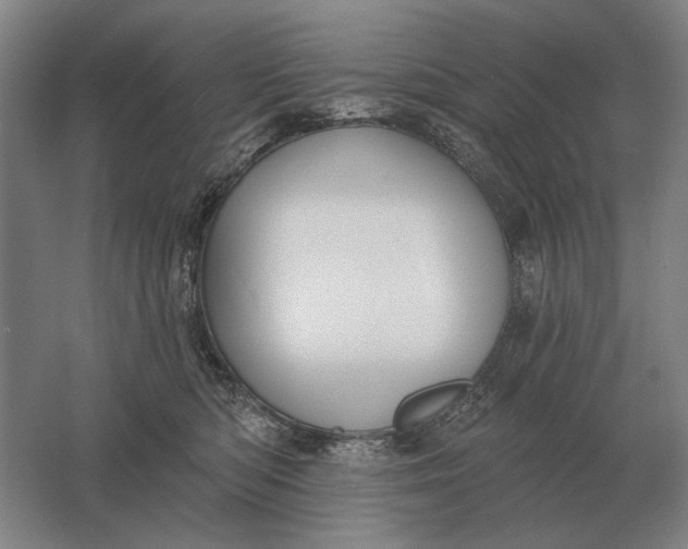 X0000061730422200512161627